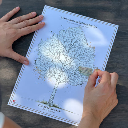 Schwangerschaftskalender – In 24 kleinen Schritten zum Wunder