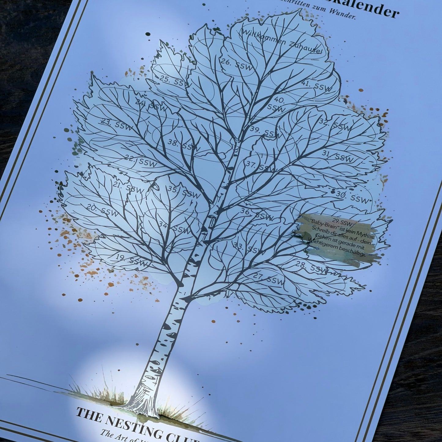 Schwangerschaftskalender – In 24 kleinen Schritten zum Wunder