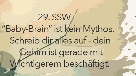 Botschaft 29. SSW
